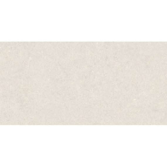 Керамогранит A044029 Iwa White Rect 60x120