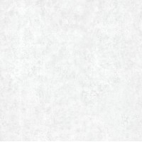 A0YB AA0C Rio White Rectified 59.4x59.4