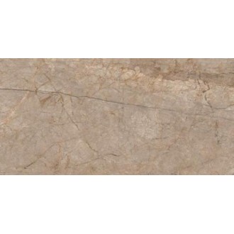 A17056 Керамогранит Silver roots серый ректификат 60x120