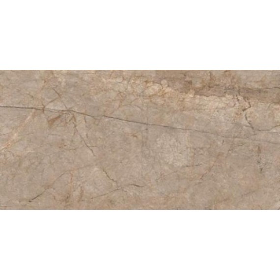 Керамогранит A17056 Керамогранит Silver roots серый ректификат 60x120