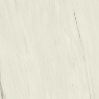 A203 Marvel Bianco Fantastico Matt 120x120