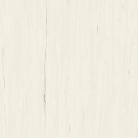 A204 Marvel Bianco Dolomite 120x120