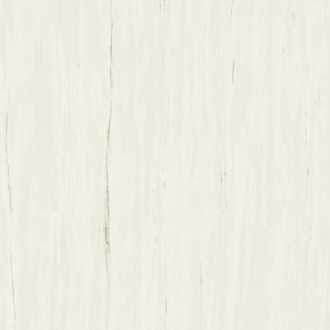 A204 Marvel Bianco Dolomite 120x120