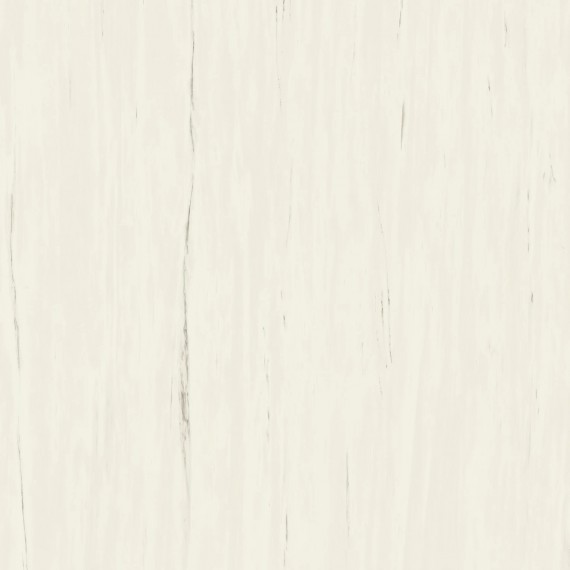 Керамогранит A204 Marvel Bianco Dolomite 120x120