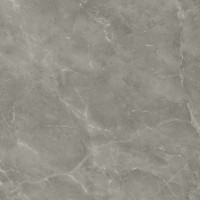 A205 Marvel Grey Fleury 120x120