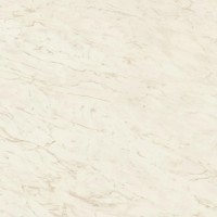 A206 Marvel Cremo Delicato 120x120
