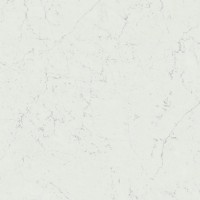 A207 Marvel Carrara Pure 120x120