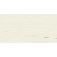 A21C Marvel Bianco Dolomite 60x120