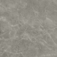 A21O Marvel Grey Fleury Lappato 120x120