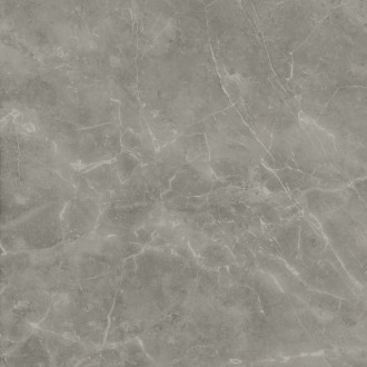 A21O Marvel Grey Fleury Lappato 120x120