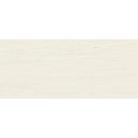 A2RS Marvel Bianco Dolomite Matt 120x278