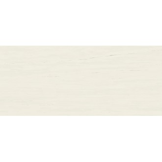 A2RS Marvel Bianco Dolomite Matt 120x278