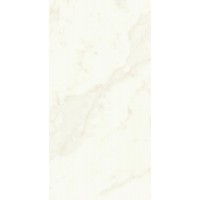 A4Q0 Marvel Calacatta Delicato Lappato 60x120