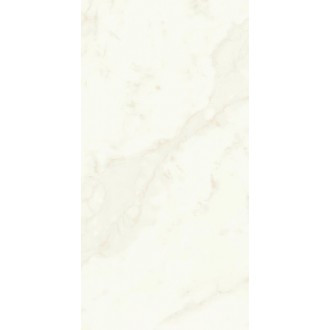 A4Q0 Marvel Calacatta Delicato Lappato 60x120