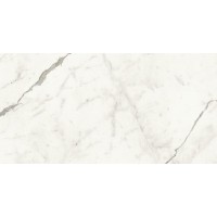 A4Q2 Marvel Statuario Supremo Lappato 60x120