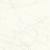 A4Q4 Marvel Calacatta Delicato Matt 120x120
