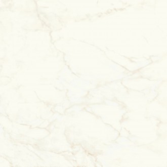A4Q4 Marvel Calacatta Delicato Matt 120x120