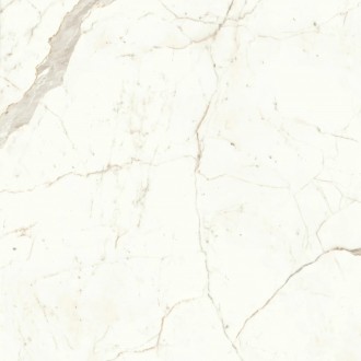 A4Q5 Marvel Calacatta Prestigio Matt 120x120