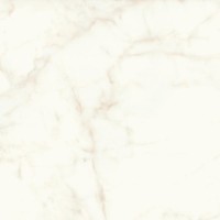 A4Q8 Marvel Calacatta Delicato Lappato 120x120