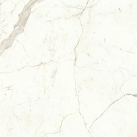A4Q9 Marvel Calacatta Prestigio Lappato 120x120