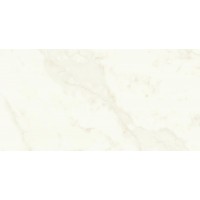 A4QW Marvel Calacatta Delicato Matt 60x120