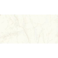 A4RH Marvel Calacatta Delicato Lappato 120x240