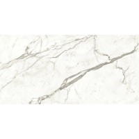 A4RJ Marvel Statuario Supremo Lappato 120x240