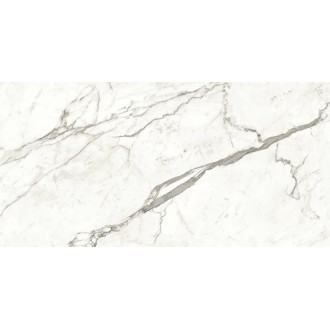A4RJ Marvel Statuario Supremo Lappato 120x240