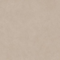 A659 Boost Natural Ash 60x60