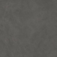 A66G Boost Natural Coal 60x60