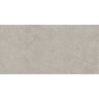 A66W Boost Stone Pearl GRIP R11 60x120