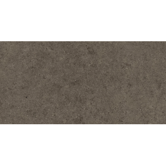 A66Z Boost Stone Tobacco GRIP R11 60x120