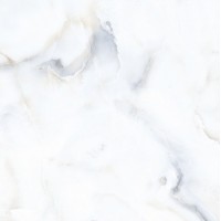 AB1042G Dove Onix gloss 600x600