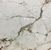 AB1099G Calacatta Bronze gloss 600x600