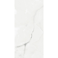 AB 1025G Royal Grey Light gloss 1200x600