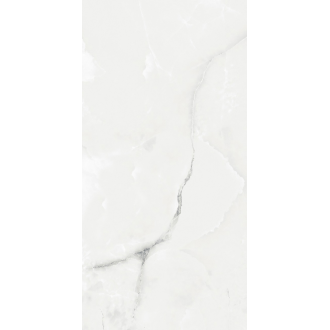 AB 1025G Royal Grey Light gloss 1200x600