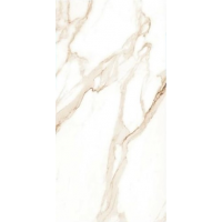 AB 1026G Ricato Brown gloss 1200x600