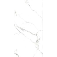 AB 1124G Statiario Titan gloss 1200x600