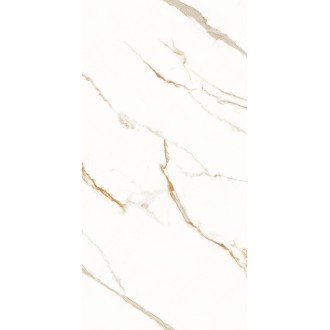AB 1158G Керамогранит Bianco Dorado Gloss 1200x600