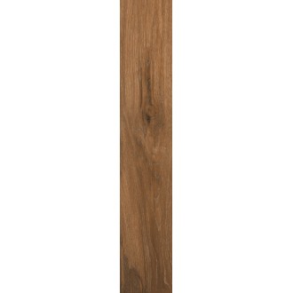 AB 1164W Керамогранит Wildwood Dark Brown 1200x200