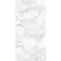 AB 1171G Керамогранит Rossalia Natural Gloss 1200x600