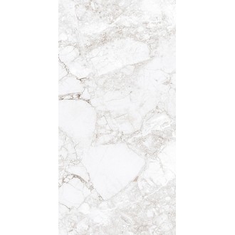 AB 1171G Керамогранит Rossalia Natural Gloss 1200x600