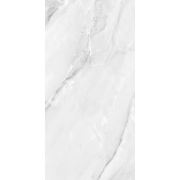 AB 1187G Керамогранит Aquarelle Grey Gloss 1200x600