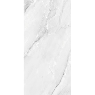 AB 1187G Керамогранит Aquarelle Grey Gloss 1200x600