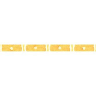 AC269/15000 Плитка Салерно Лимоны 40х3