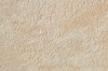 ACN1 Trust Ivory 40x60