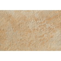 ACN3 Trust Gold 40x60