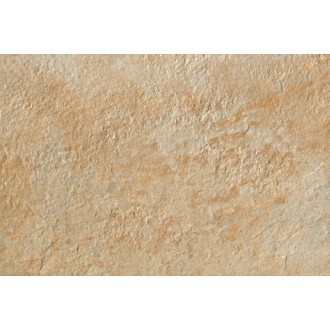 ACN3 Trust Gold 40x60