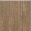 AE7H Axi Brown Chestnut LASTRA 20 60x60