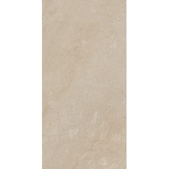 AEM01 Элемента Бежевый Неполированный Рект 60x120x9